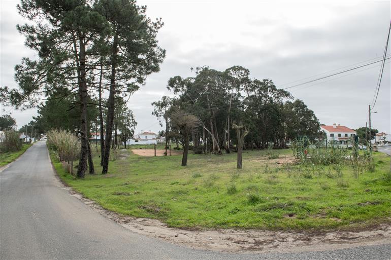 Parque dos Alagoachos