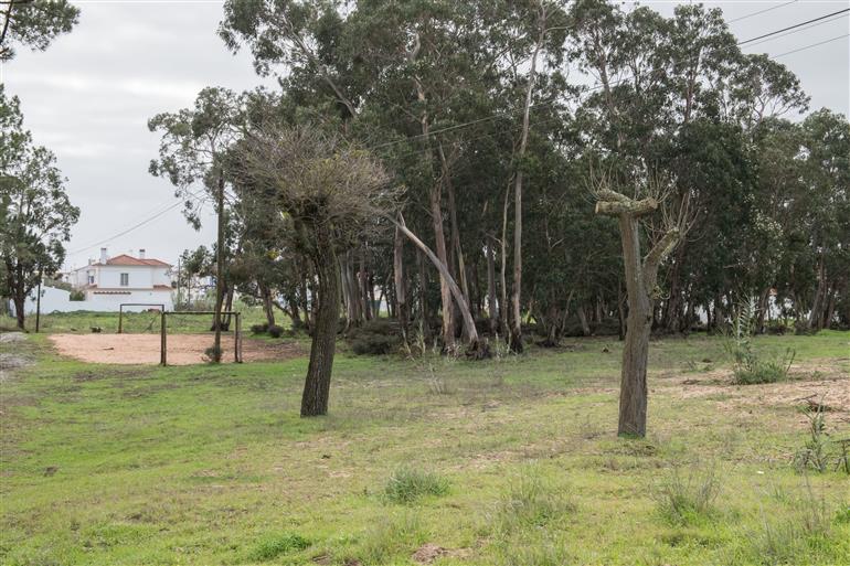 Parque dos Alagoachos
