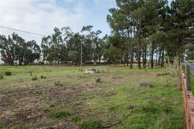 Parque dos Alagoachos